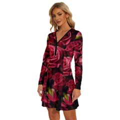 Long Sleeve Deep V Mini Dress  