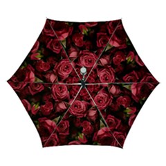 Floral Buds Of Roses Beautiful Flowers Automatic Folding Umbrella with Case (Small) from ArtsNow.com