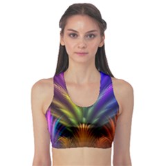 Fitness Sports Bra 