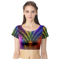 Short Sleeve Crop Top 