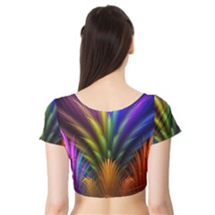 Short Sleeve Crop Top 