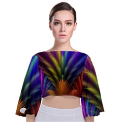 Tie Back Butterfly Sleeve Chiffon Top 