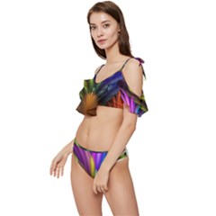 Ruffle Edge Tie Up Bikini Set	 