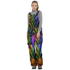 Women s Side Zip Front Pouch Ski And Snowboard Bib Pants	 