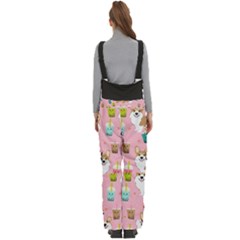 Women s Side Zip Front Pouch Ski And Snowboard Bib Pants	 