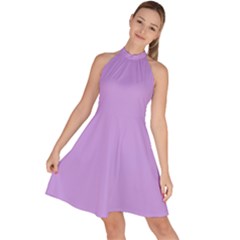 Sleeveless Halter Neck A-Line Dress 