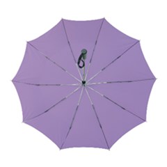 Luscious Lavender Hex #cca3e7 Automatic Folding Umbrella with Case (Large) from ArtsNow.com