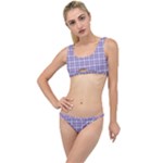 Purple Plaid Tartan 2 The Little Details Bikini Set