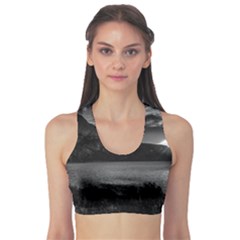 Fitness Sports Bra 