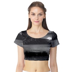 Short Sleeve Crop Top 