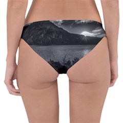 Reversible Hipster Bikini Bottoms 