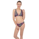 Pattern Zigzag Stripe Design Classic Banded Bikini Set 