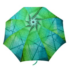 Folding Umbrella 