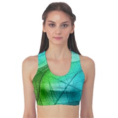 Fitness Sports Bra 