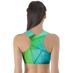 Fitness Sports Bra 