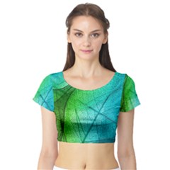 Short Sleeve Crop Top 