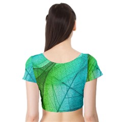 Short Sleeve Crop Top 