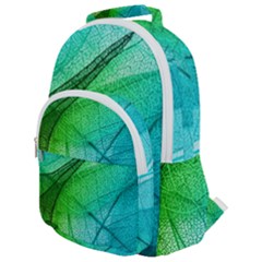 Rounded Multi Pocket Backpack 