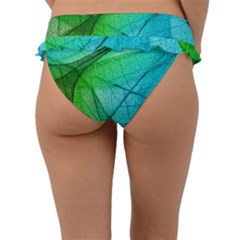 Frill Bikini Bottoms 