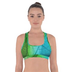 Cross Back Sports Bra 