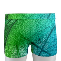 Men s Boxer Briefs 