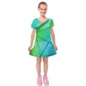 Kids  Short Sleeve Velvet Dress 