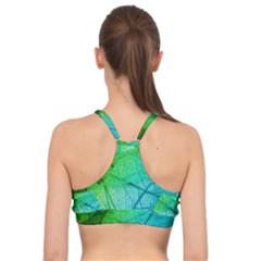 Basic Training Sports Bra 