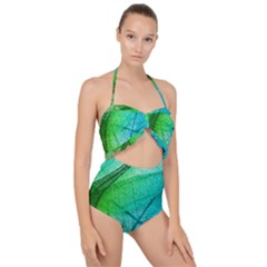 Scallop Top Cut Out Swimsuit 