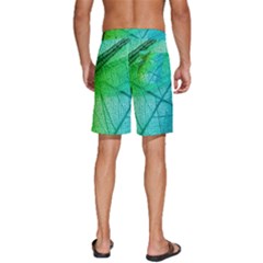 Men s Beach Shorts 