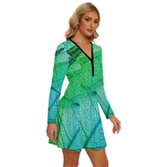 Long Sleeve Deep V Mini Dress  