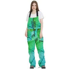 Women s Front Zip Ski And Snowboard Bib Pants 