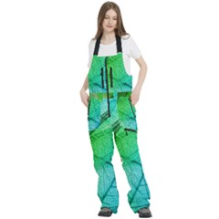 Women s Front Zip Ski And Snowboard Bib Pants 