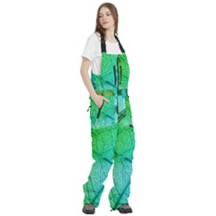 Women s Front Zip Ski And Snowboard Bib Pants 