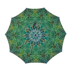 Green Repeats I Automatic Folding Umbrella with Case (Large) from ArtsNow.com