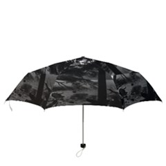 Folding Umbrella 