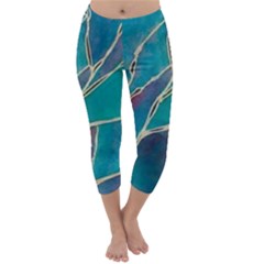 Capri Winter Leggings  Front