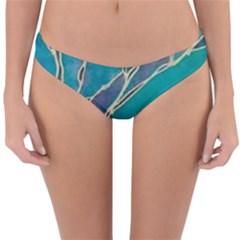 Reversible Hipster Bikini Bottoms 