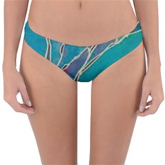 Reversible Hipster Bikini Bottoms 