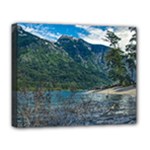 Beach At Los Alerces National Park, Chubut Province, Argentina Deluxe Canvas 20  x 16  (Stretched)