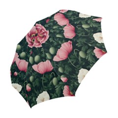 Folding Umbrella 