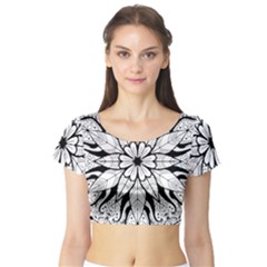 Short Sleeve Crop Top 