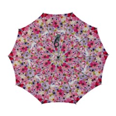 Pattern Seamless Texture Daisies Automatic Folding Umbrella with Case (Large) from ArtsNow.com