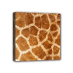 Giraffe Mini Canvas 4  x 4  (Stretched)