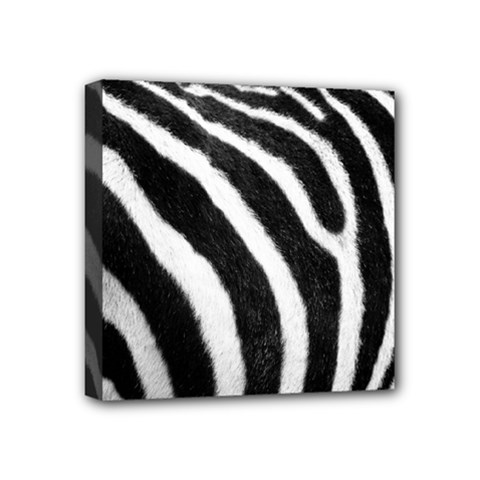 Zebra Mini Canvas 4  x 4  (Stretched) from ArtsNow.com