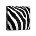 Zebra Mini Canvas 4  x 4  (Stretched)