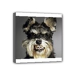 Animals Dogs Funny Dog 013643  Mini Canvas 4  x 4  (Stretched)