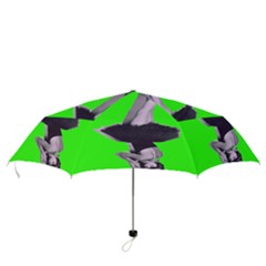 Folding Umbrella 