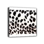 Snow Leopard	 Mini Canvas 4  x 4  (Stretched)