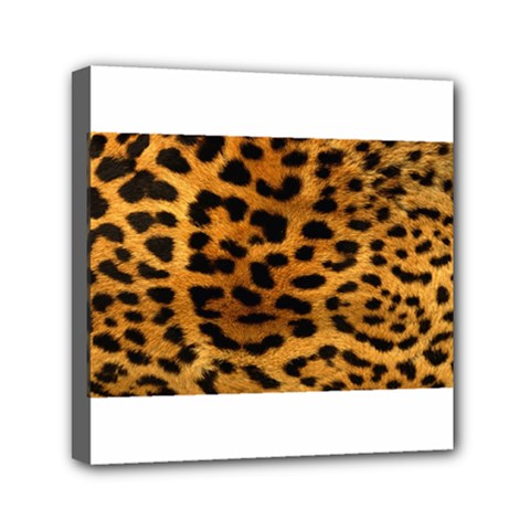 Jaguar Print	Mini Canvas 6  x 6  (Stretched) from ArtsNow.com