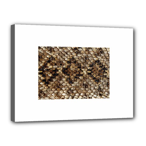 Snake Print	Canvas 16  x 12  (Stretched) from ArtsNow.com